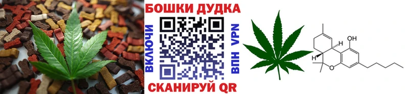 где продают   hydra как войти  Canna-Cookies марихуана  Барыш 