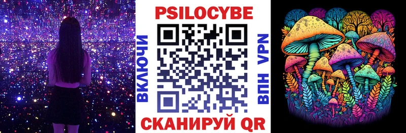 Псилоцибиновые грибы прущие грибы  сколько стоит  Барыш 